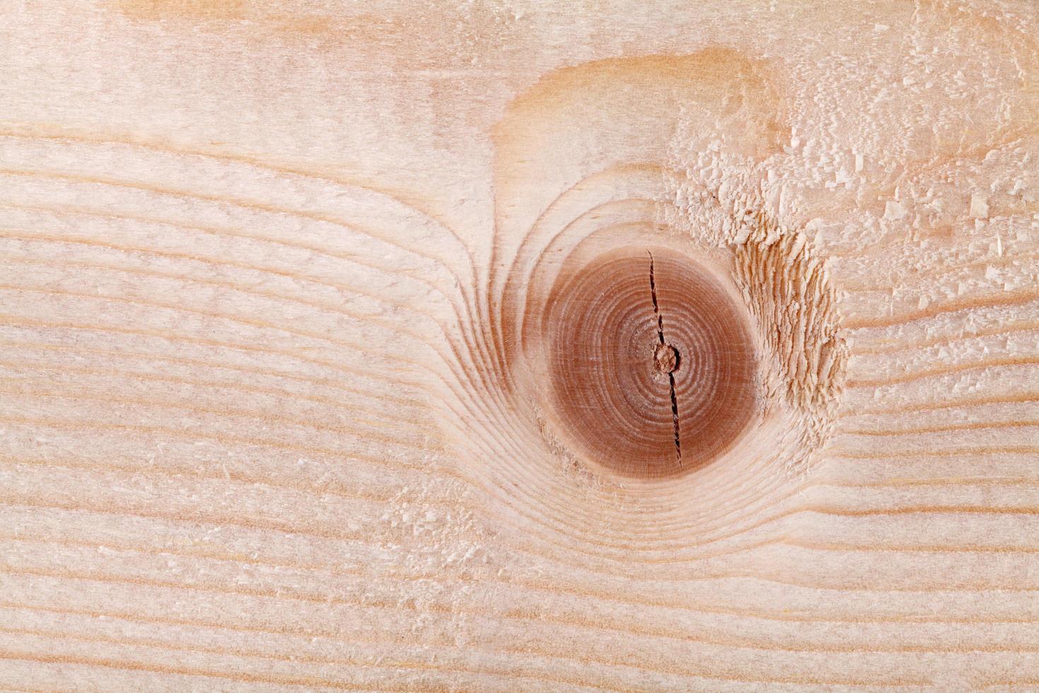 Wood texture background photo