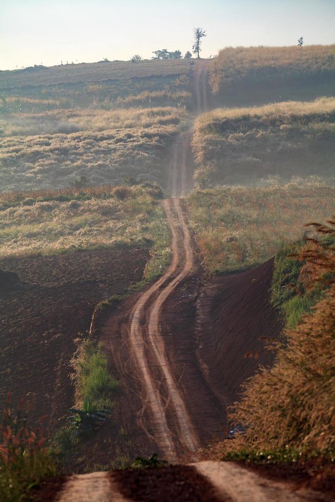 Country dirt road in shadow and sunlight photo