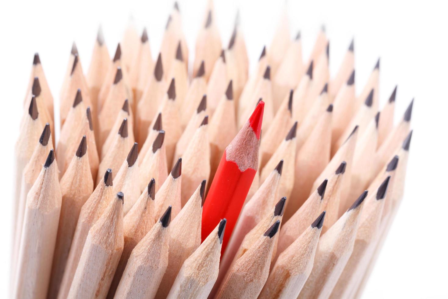 One sharpened red pencil among many ones photo