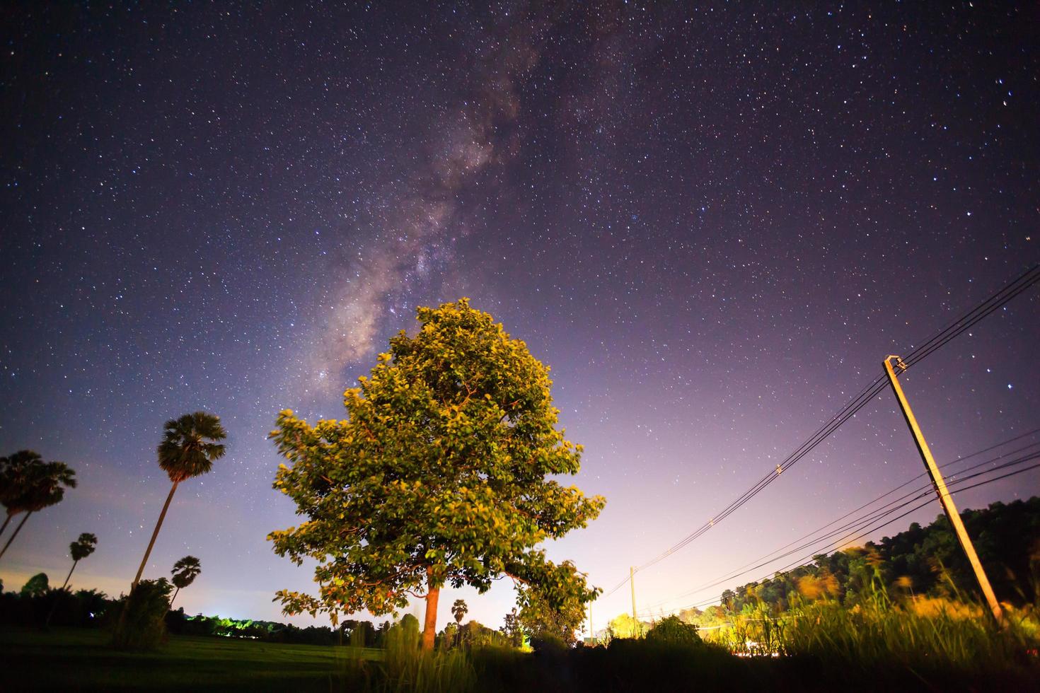 árbol y vía láctea. fotografía de larga exposición. foto