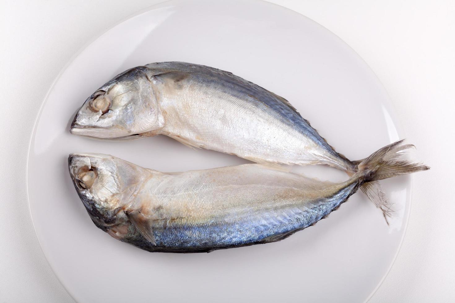 mackerel fish on bowl photo