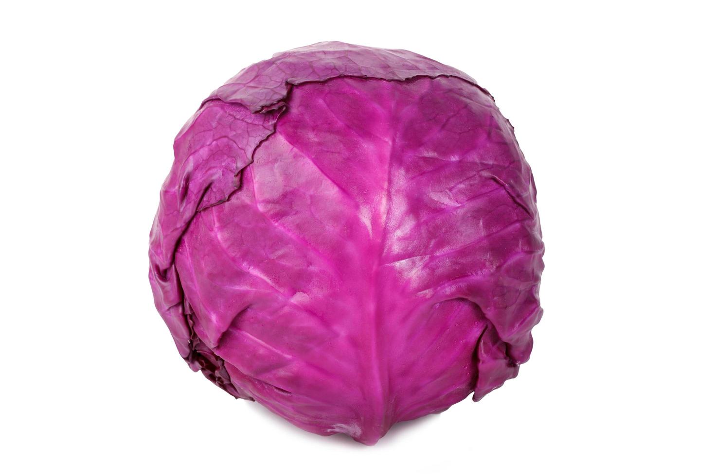 red cabbage on a white background photo