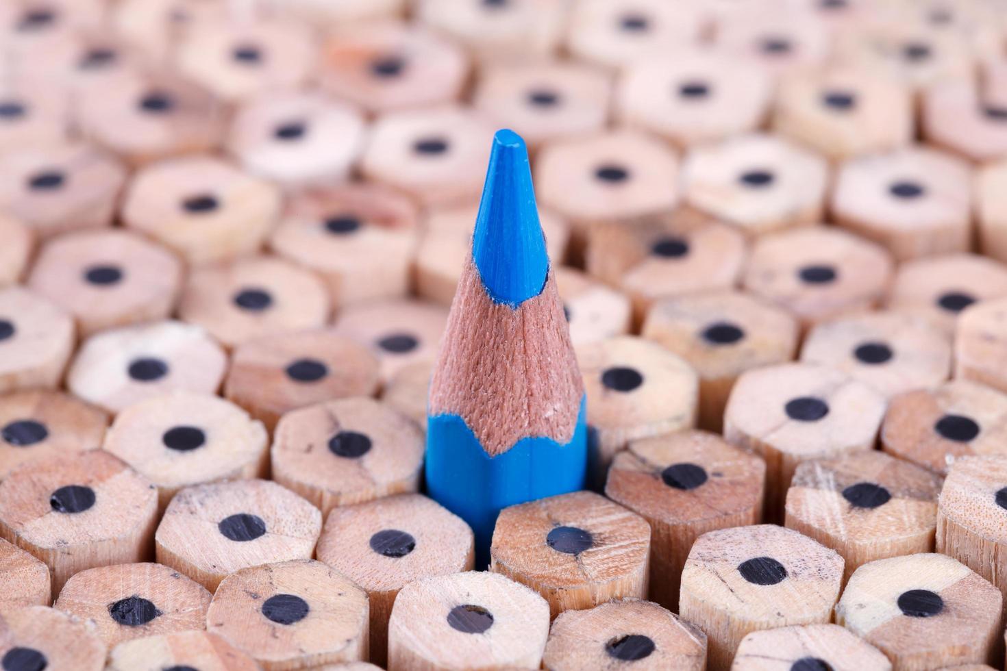 One sharpened blue pencil among many ones photo