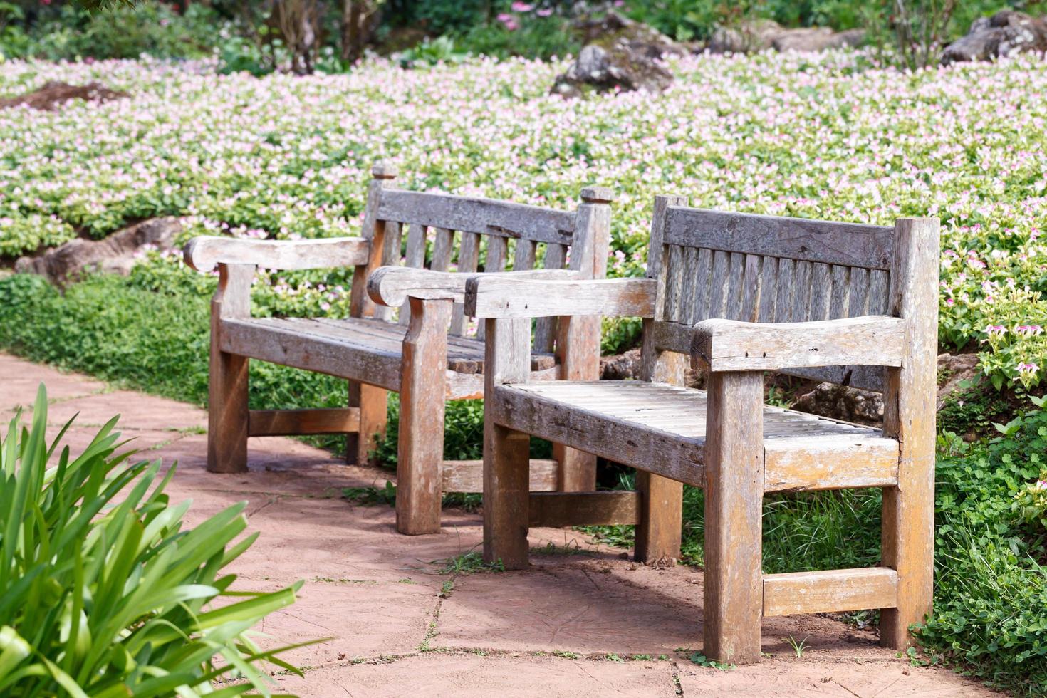 antiguo banco de madera en el jardín foto