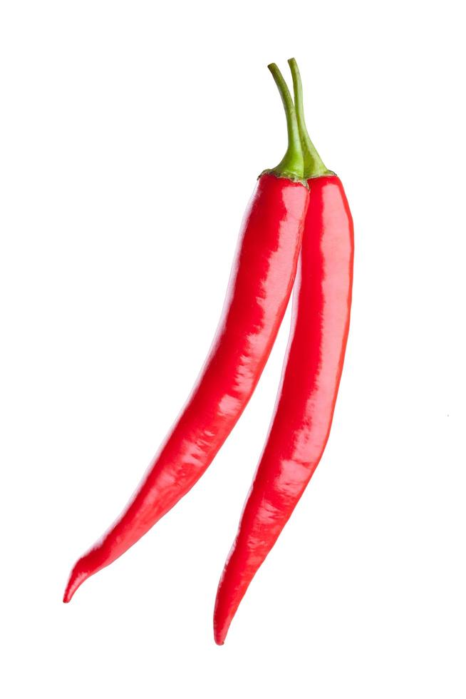 red chili or chilli cayenne pepper isolated on white background photo