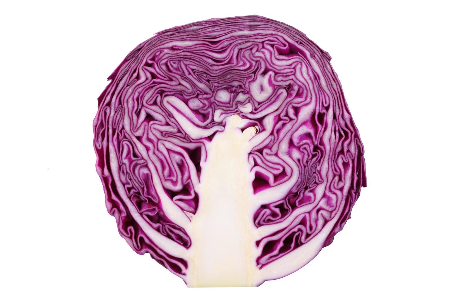 red cabbage on white photo