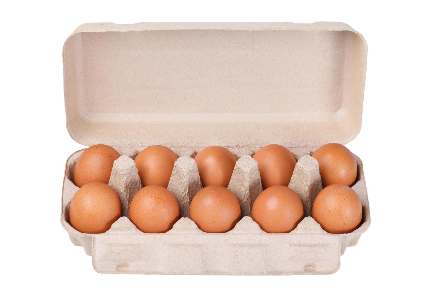 Ten brown eggs in a carton package photo