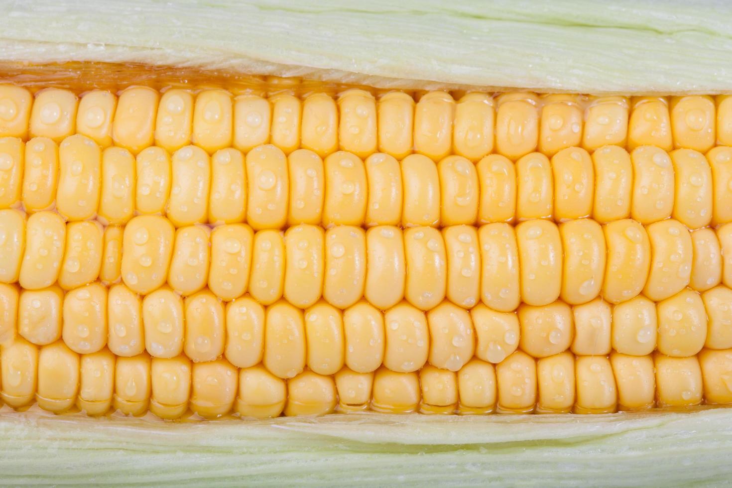 grains of ripe corn with water drop photo