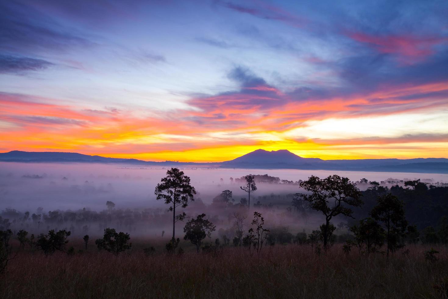 Misty morning sunrise at Thung Salang Luang National Park Phetchabun,Thailand photo