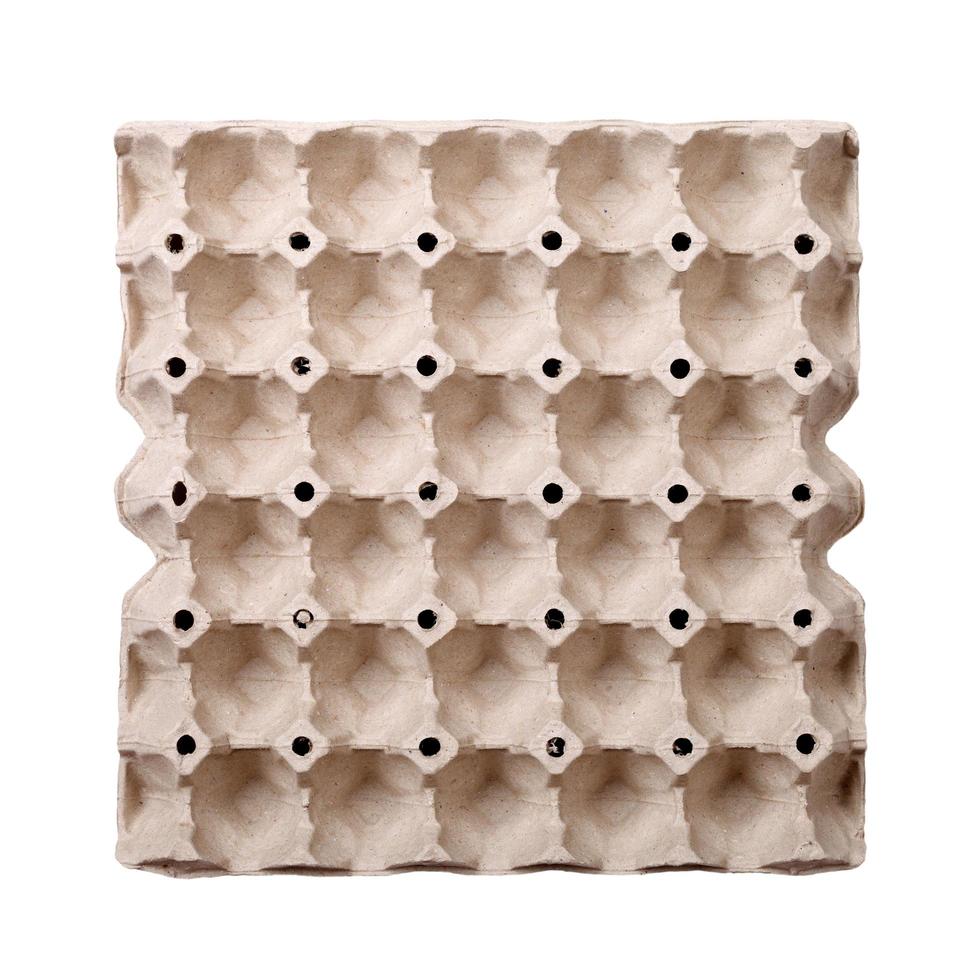 Empty tray of eggs 11044449 Stock Photo at Vecteezy