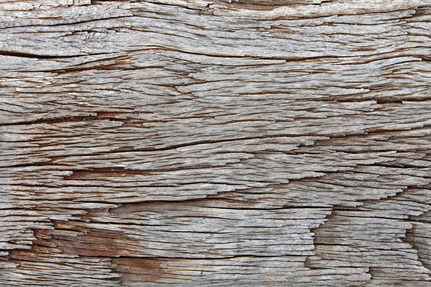 textura de madera de fondo foto