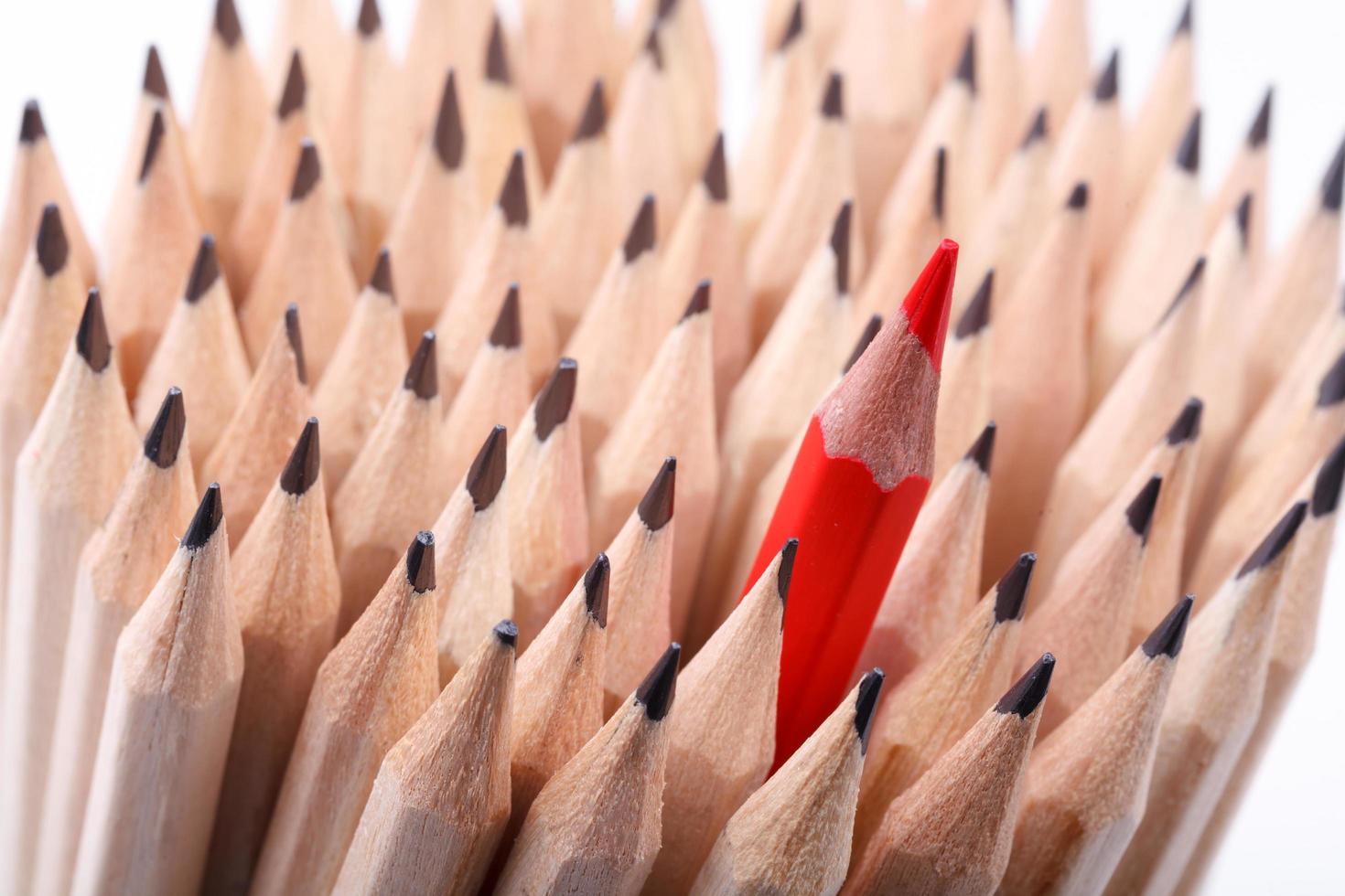 One sharpened red pencil among many ones photo