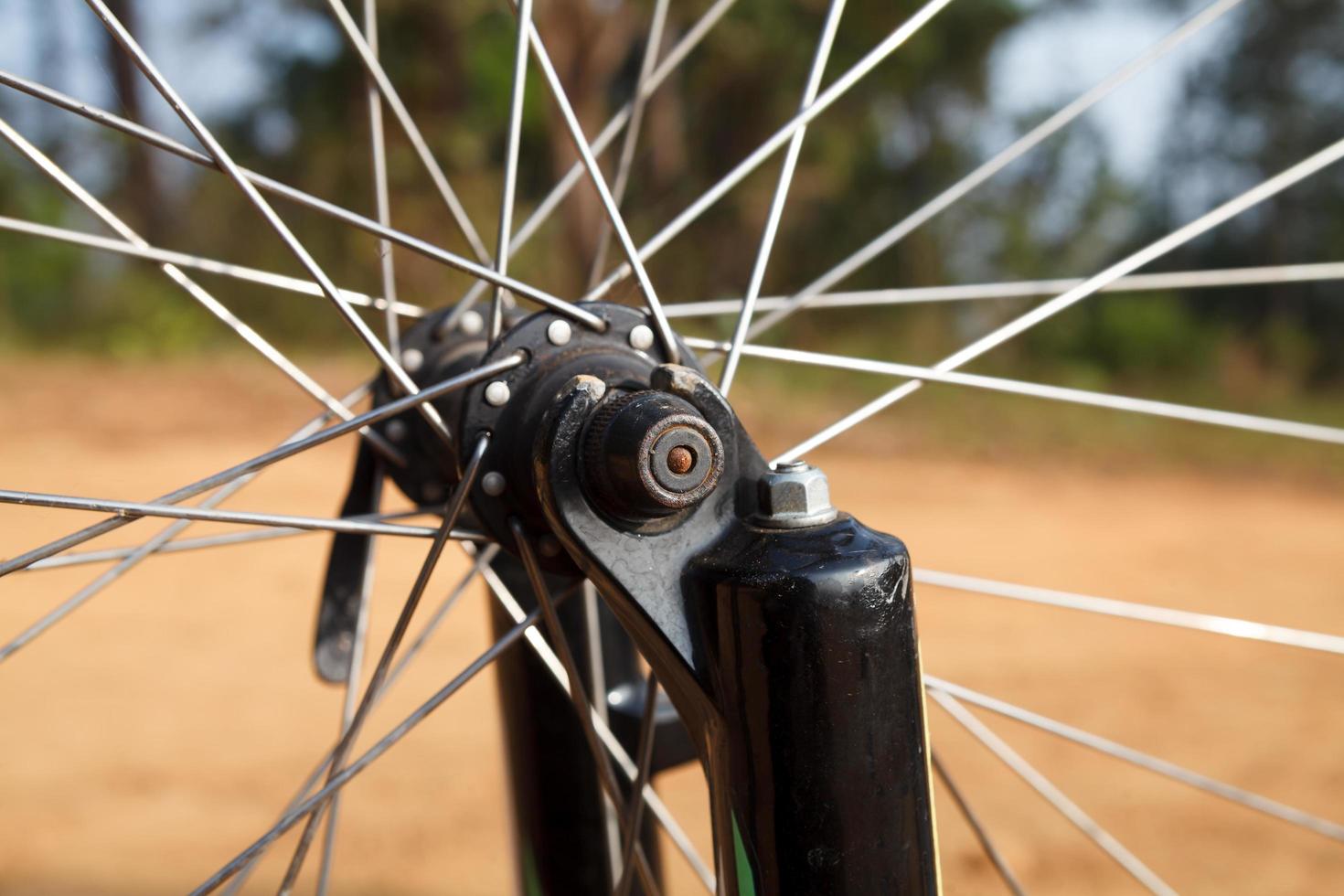 detail of bicycle wheel photo