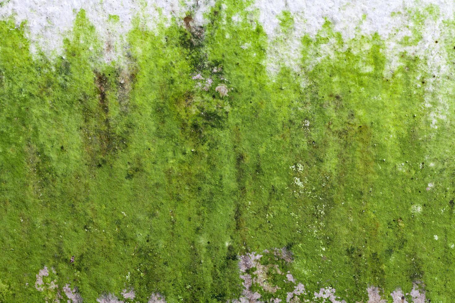 vieja textura de pared sucia arruinada y manchada foto