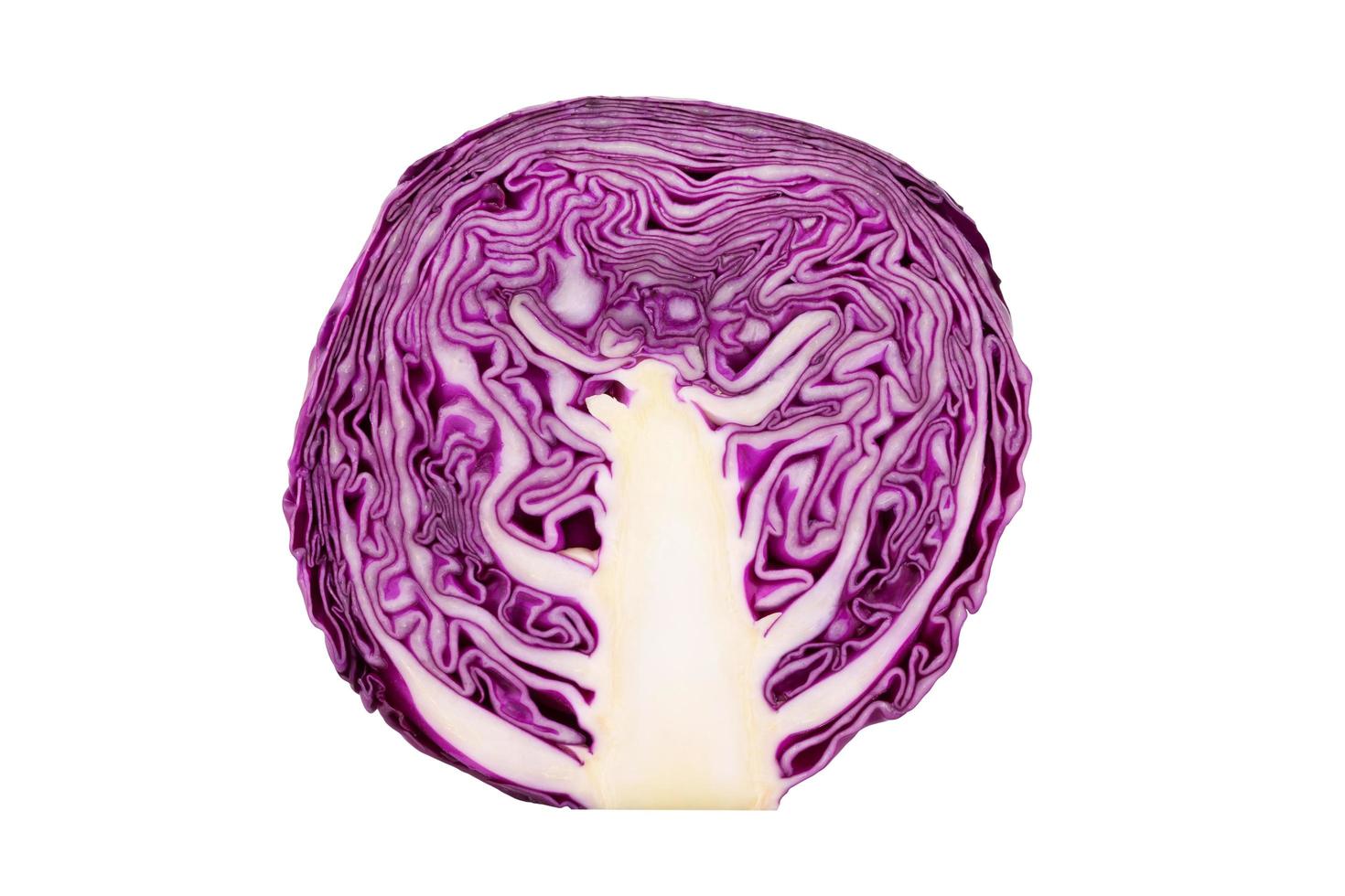 red cabbage on white background photo