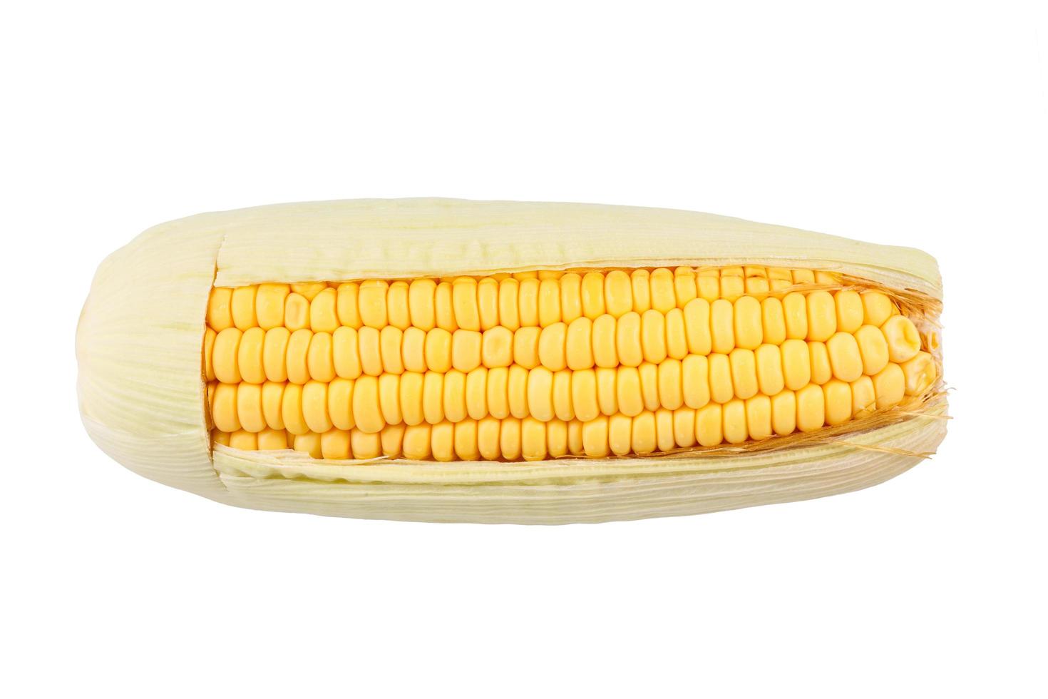 maíz dulce en blanco foto