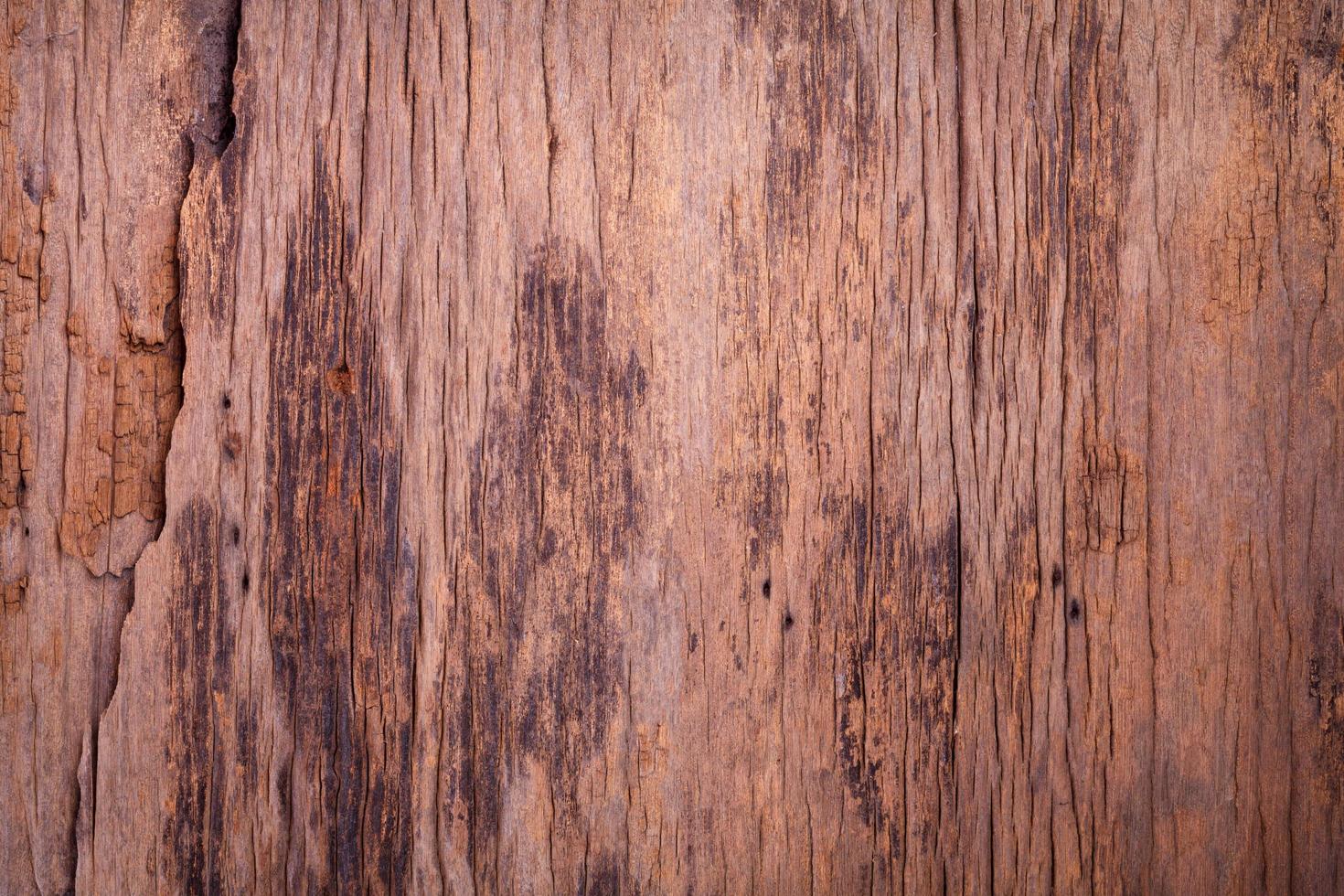 wood texture background photo