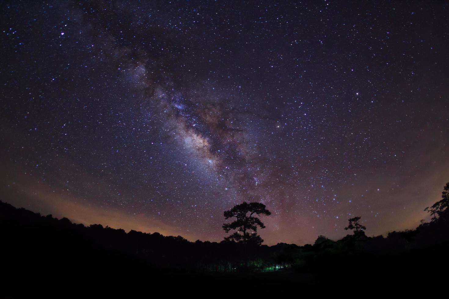 silueta de árbol y vía láctea con nube, fotografía de larga exposición foto