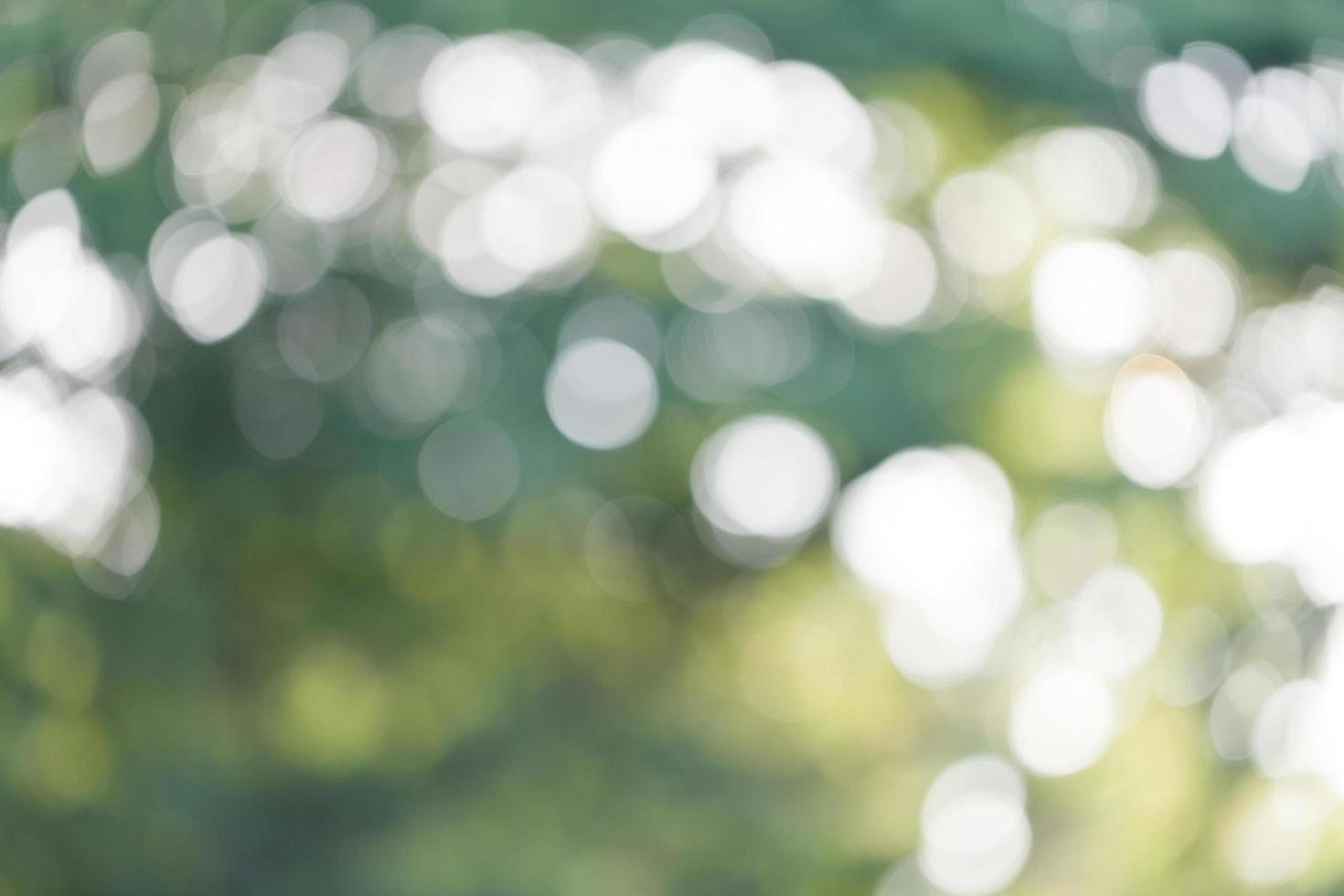Abstract circular bokeh nature background of light photo