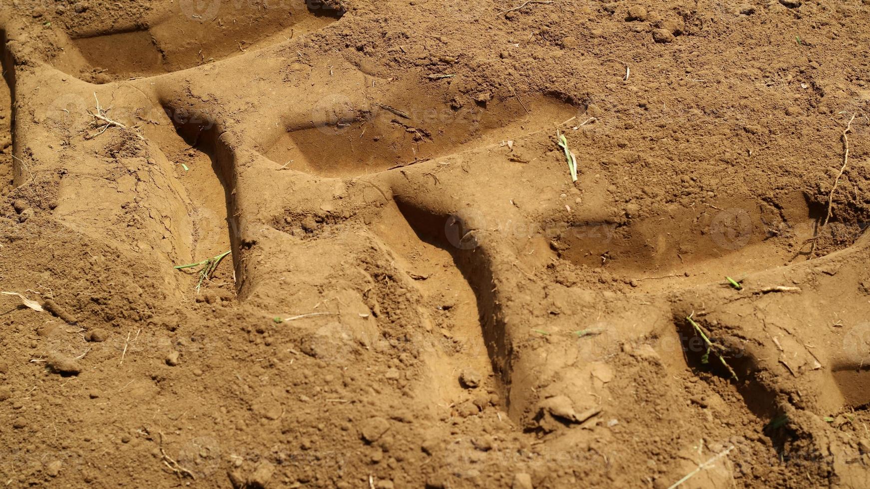 un camino de tierra con autos en baches que pasan y producen una textura interesante foto