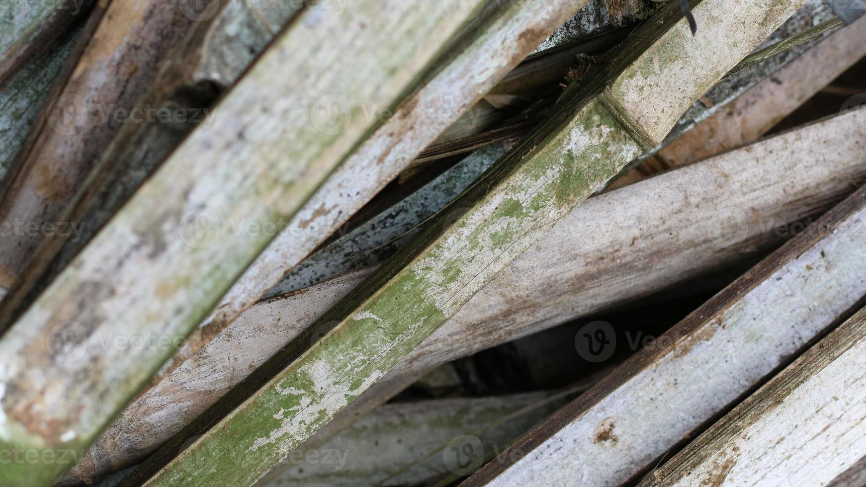 A pile of unused bamboo due to age photo