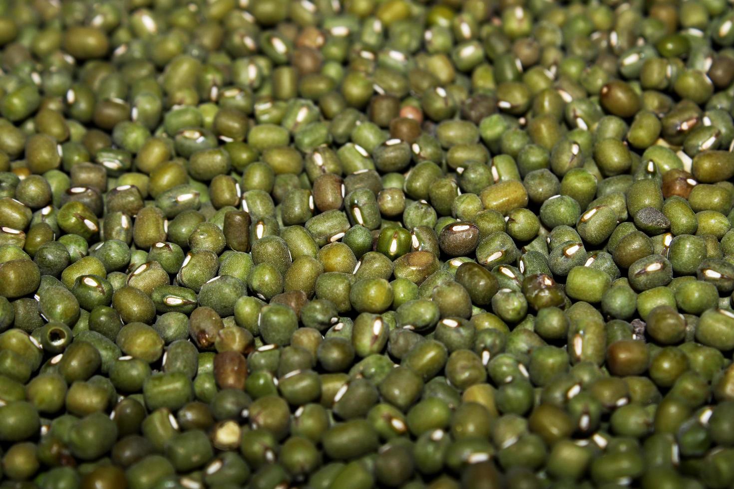 Mung Beans Heap, Karnataka. photo