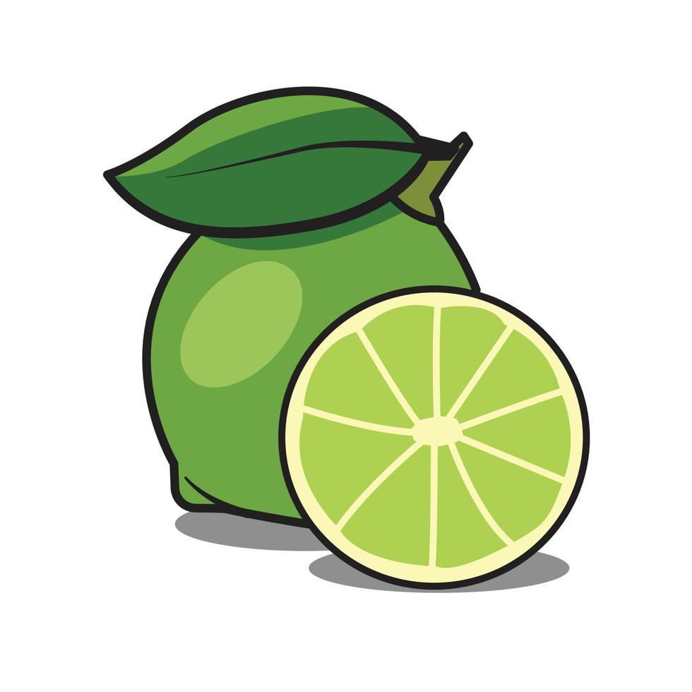 diseño de vector de fruta de lima