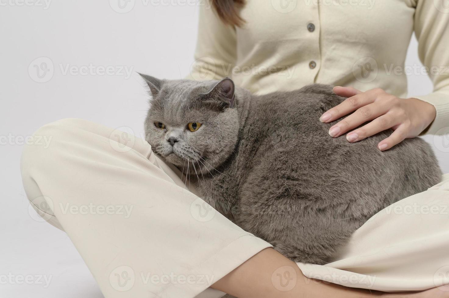 A young woman is holding lovely cat , playing with cat in studio on white background photo