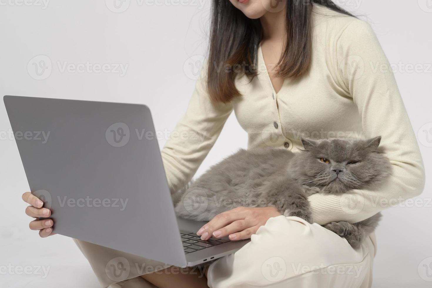 A Scottish fold lovely cats lying on  young woman hand while working with laptop computer on white studio background photo