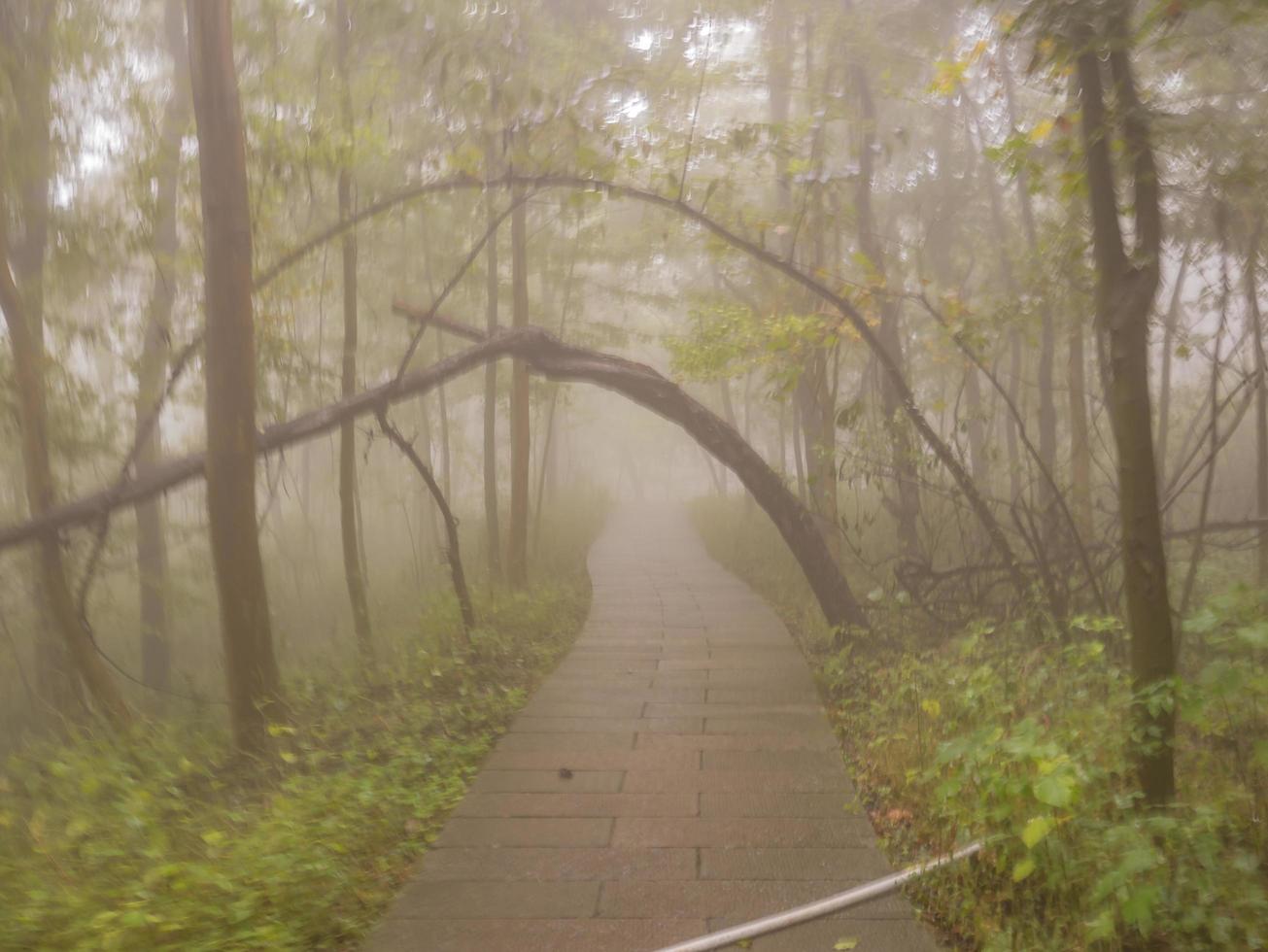 Fog cover all of tianzi mountain in Zhangjiajie National Forest Park in Wulingyuan District Zhangjiajie City China in the Foggy day. photo