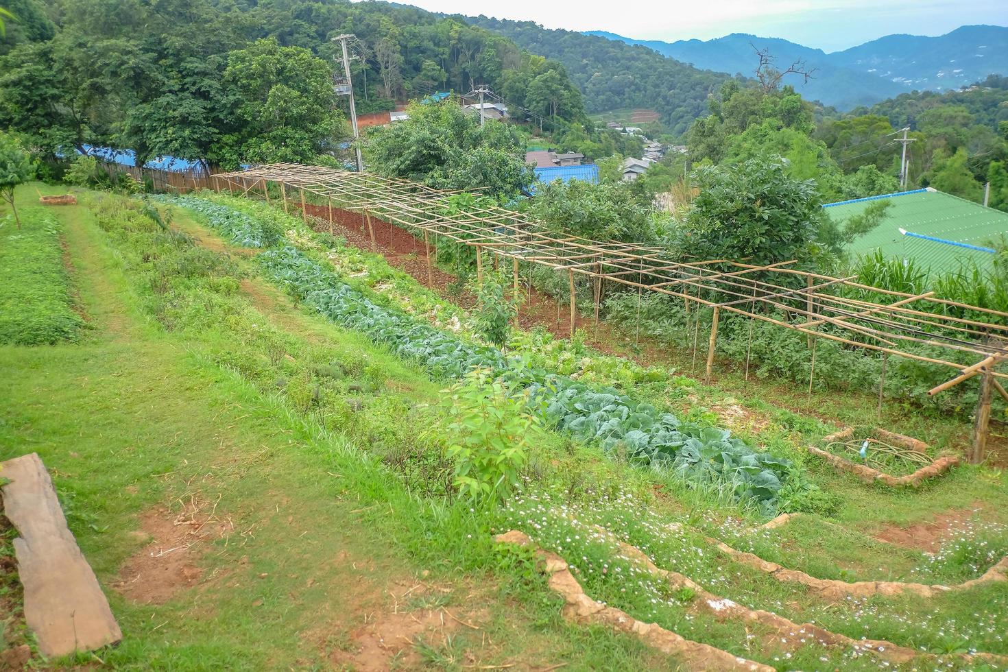 Beautiful Landscape view on monjam mountain Chianmai City Thailand photo