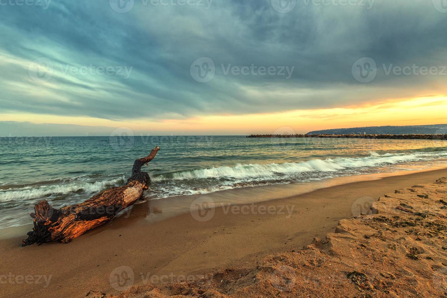 vista idílica de la puesta de sol de larga exposición con el viejo árbol en la playa foto