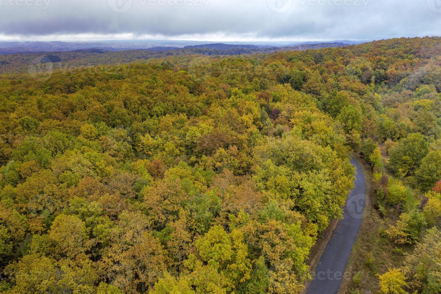 Autumn colorful forest. Aerial view from a drone over road between autumn trees in the forest. photo