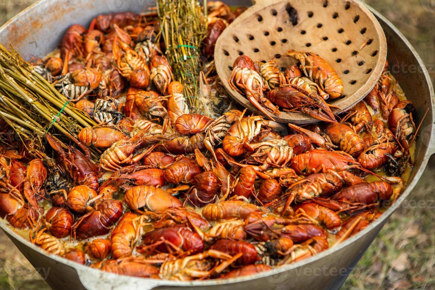 Boiled red crayfish or crawfish with herbs. Crayfish boiling in the pot on the fire photo