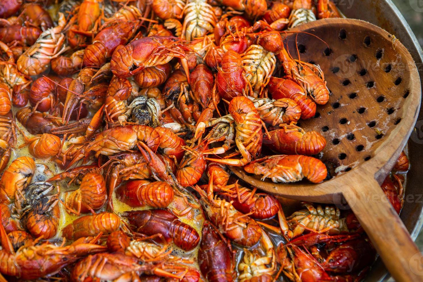 Boiled red crayfish or crawfish with herbs. Crayfish boiling in the pot on the fire photo