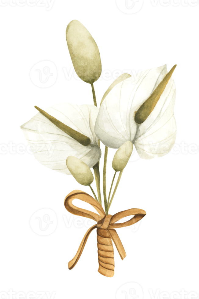 waterverf bloemen kader boeketten van herfst bladeren. png