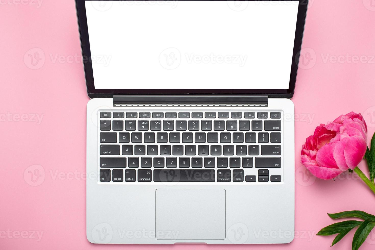 Beautiful pink peony flower and laptop with copy space for your text on pastel pink background photo