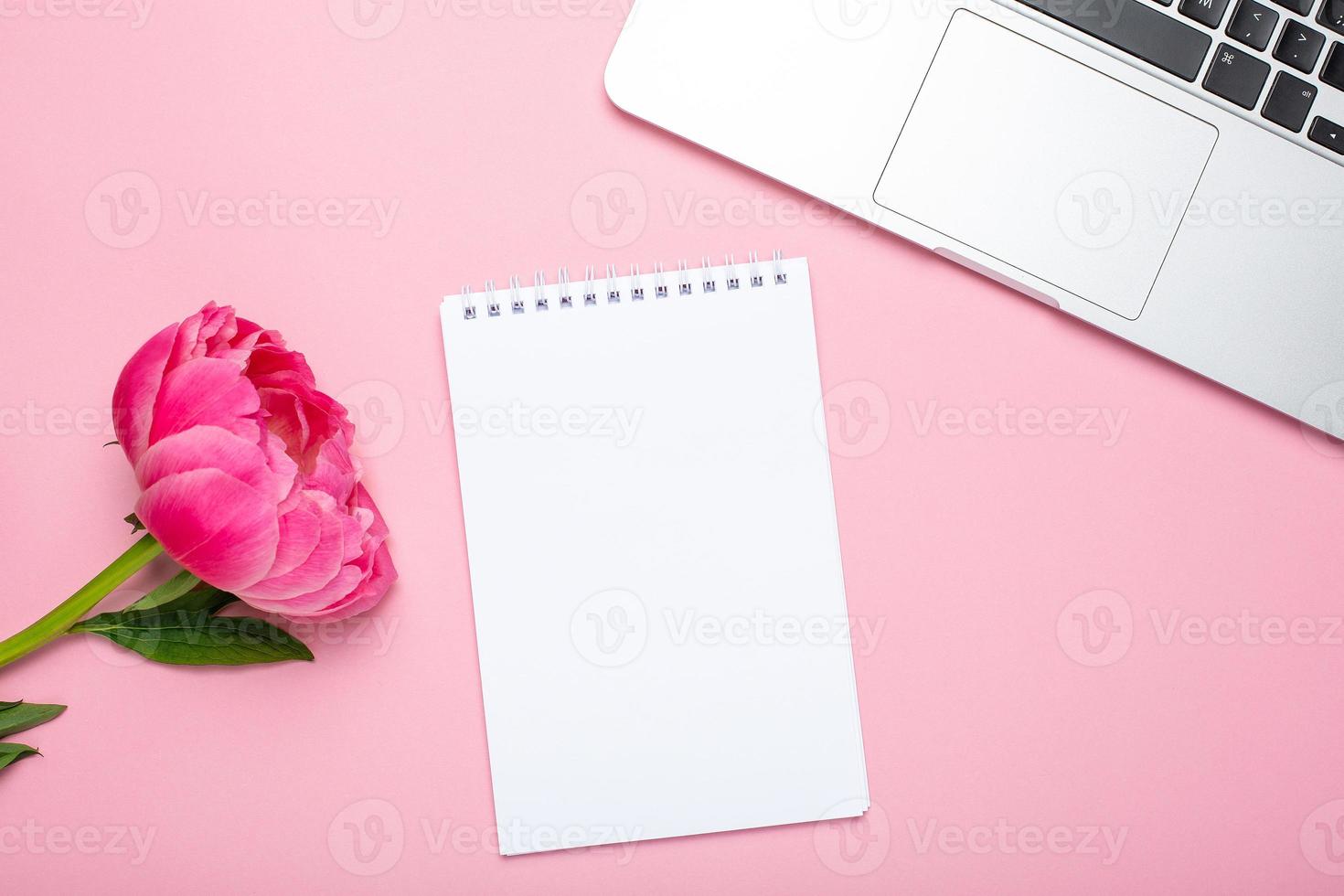 Piony flower, laptop and notebook with copy space for your text on pastel pink background. photo