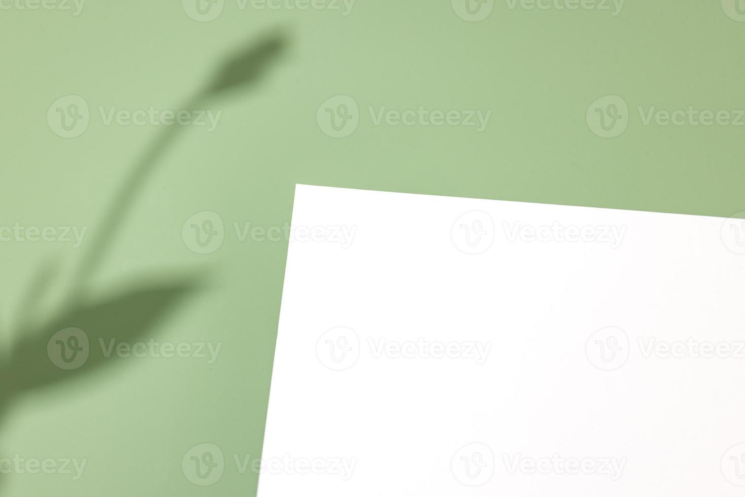 Template paper with plant shadow on pastel green background , great design for any purposes. Abstract background. Banner template. Advertising photo