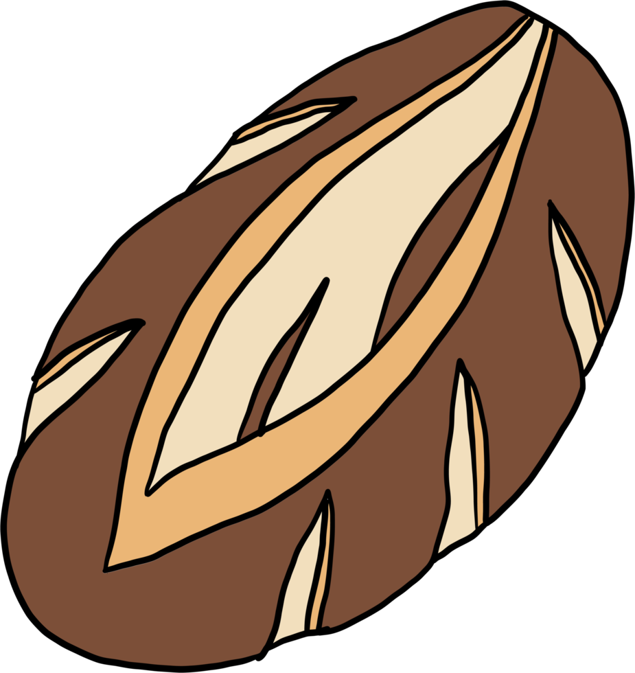 doodle freehand sketch drawing of bread. png