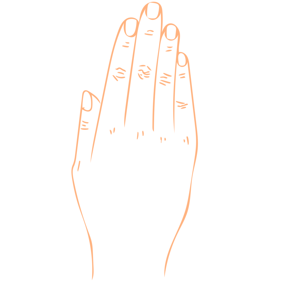 Fingers Line Art png