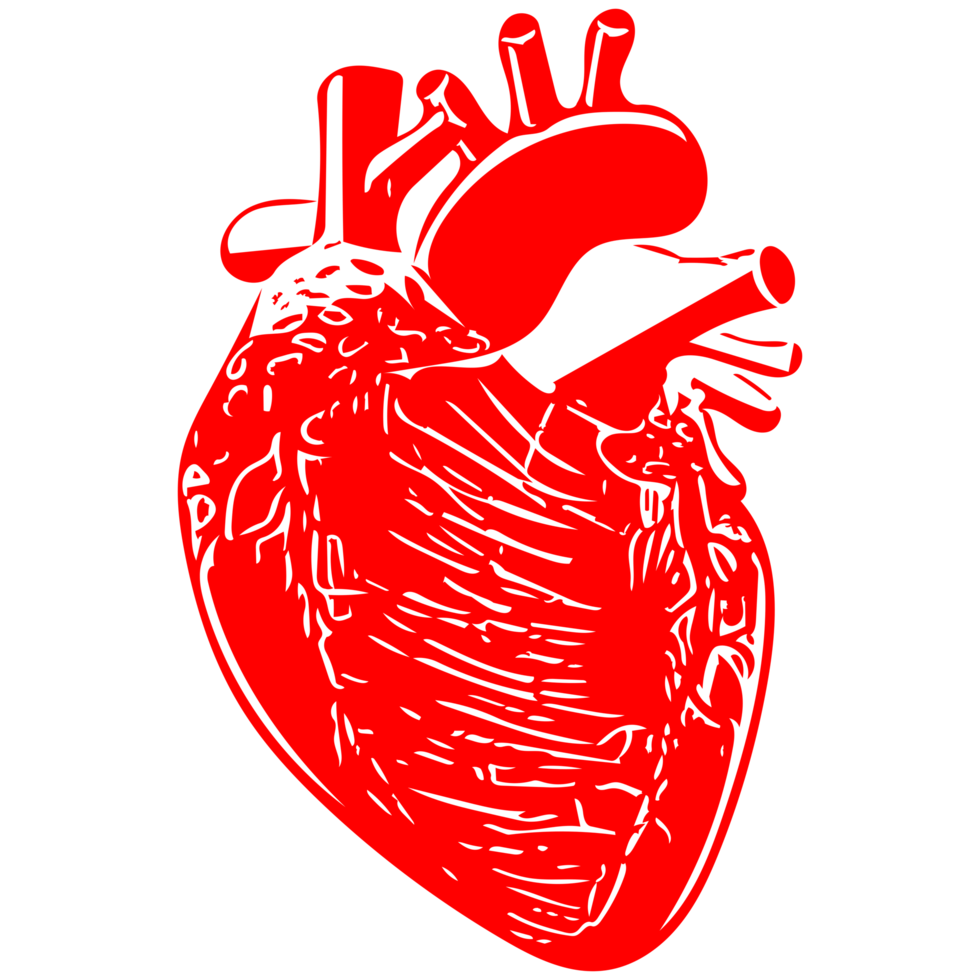 arte lineal del corazón humano png