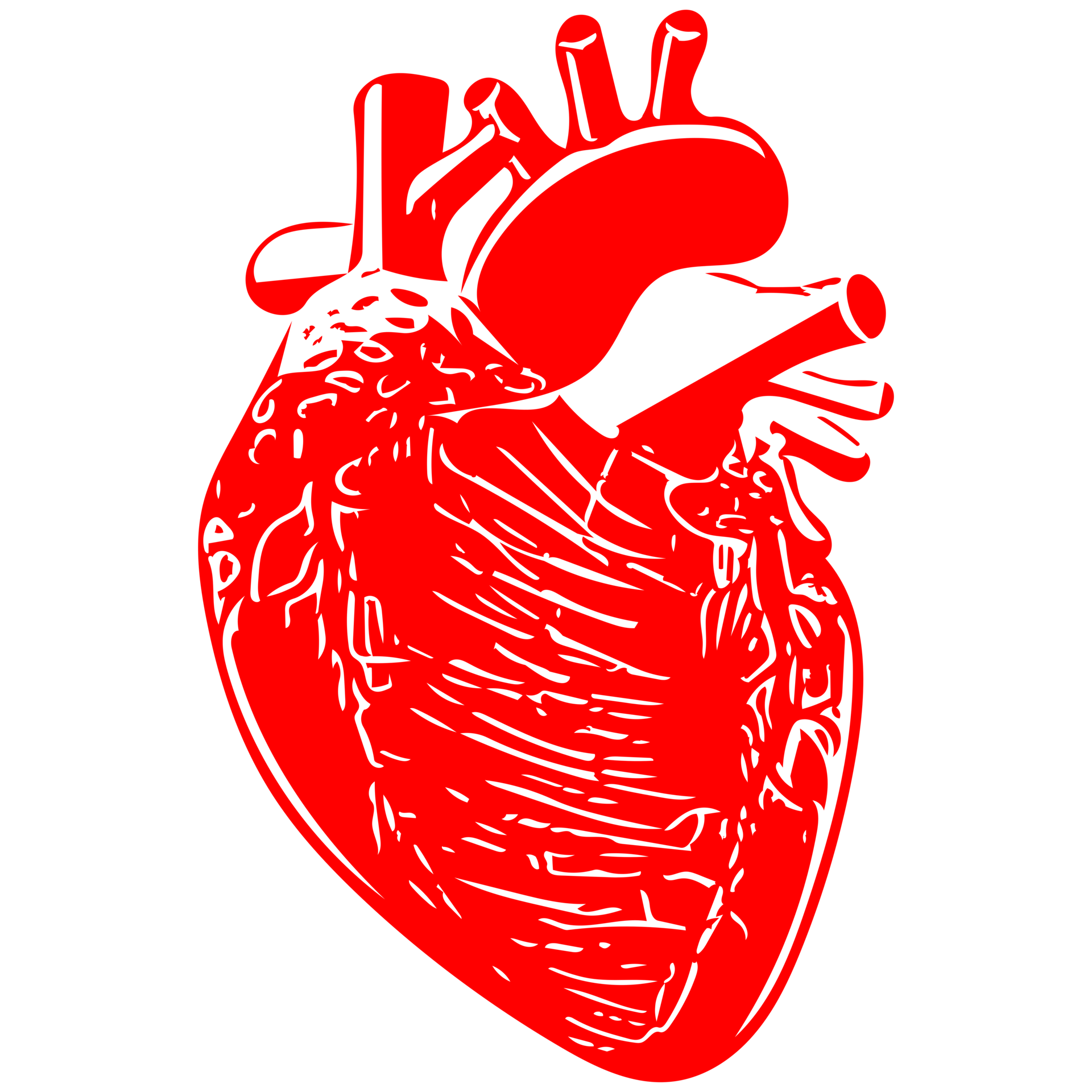 Human Heart Line Art 11048417 PNG