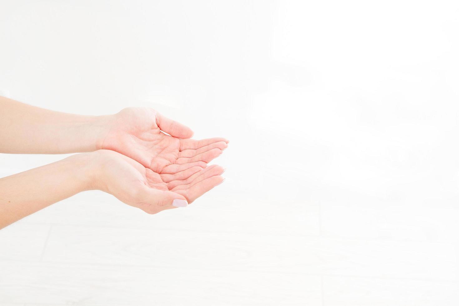 female hand two palm up. handbreadth isolated on a white background. Front view. Mock up. Copy space. Template. Blank. photo