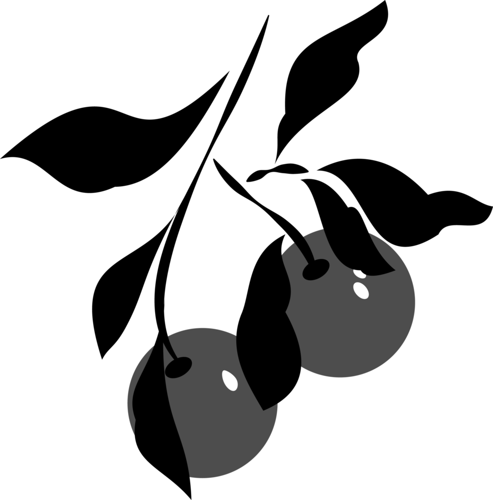 Digital drawing of a group of leaves with two cherries in black and gray color png