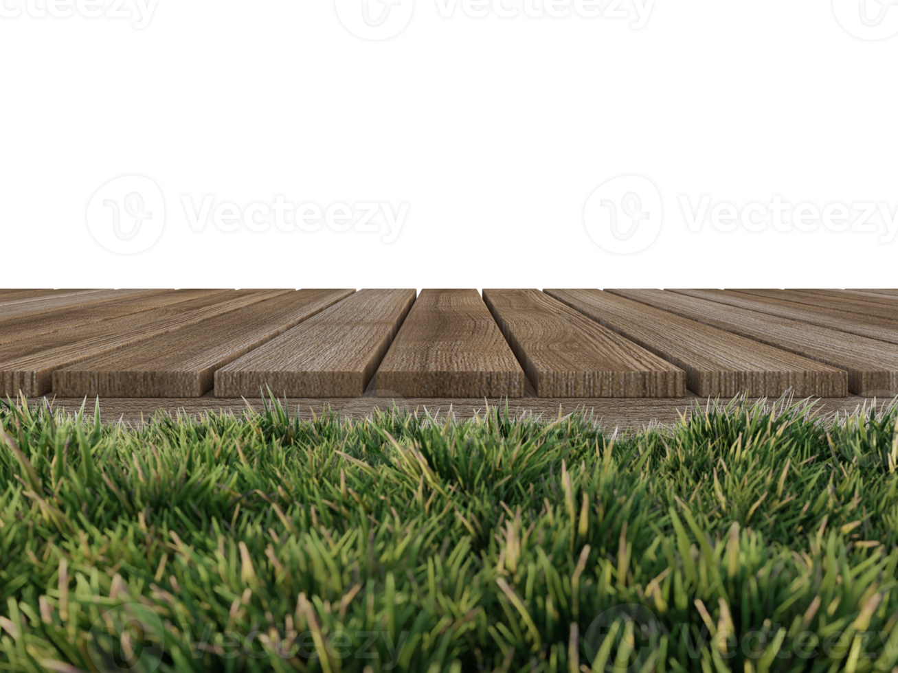 Mockup background for 3d rendering of wooden panel which have grasses as foreground. png