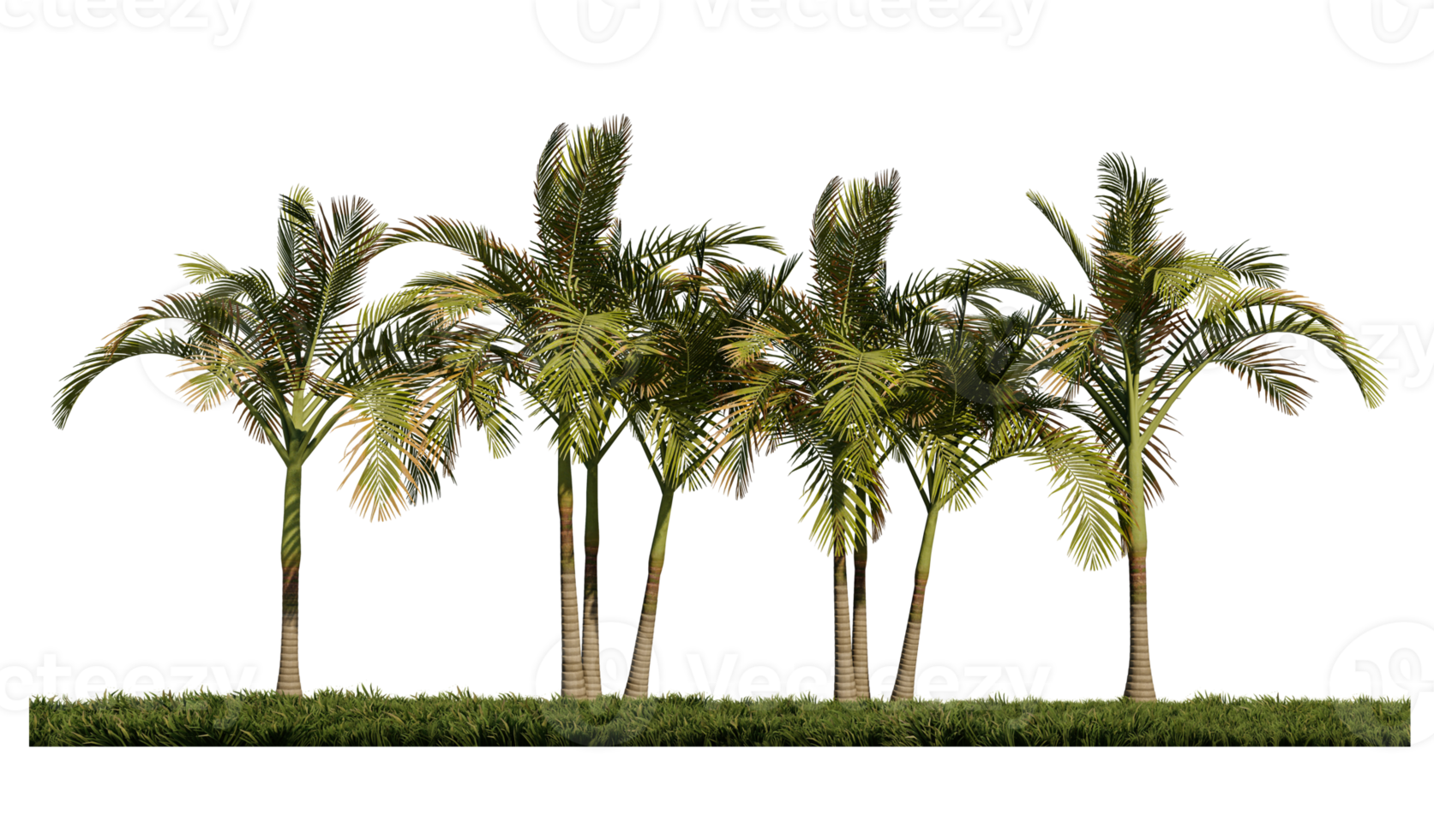 3ds rendering image of front view of palm trees on grasses field. png