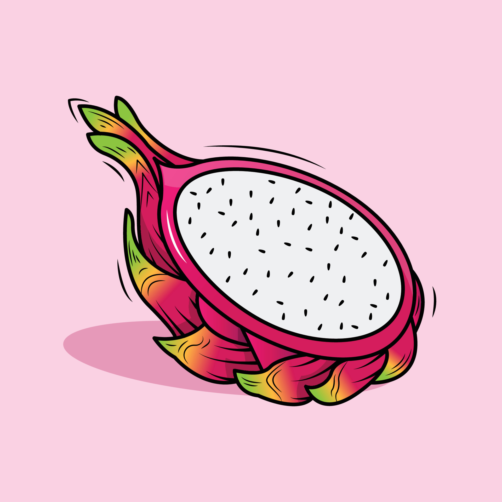 illustration of a Dragon Fruit 11049173 Vector Art at Vecteezy