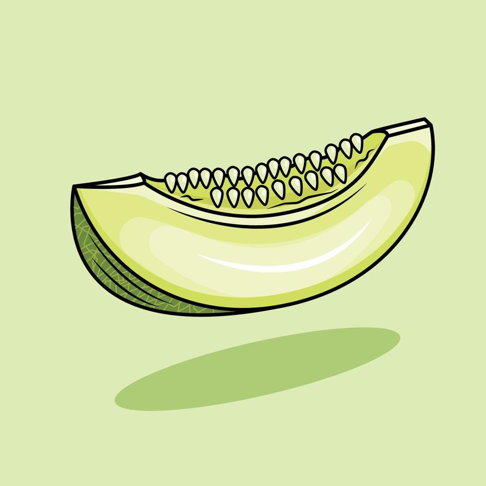 ilustración de un melón vector