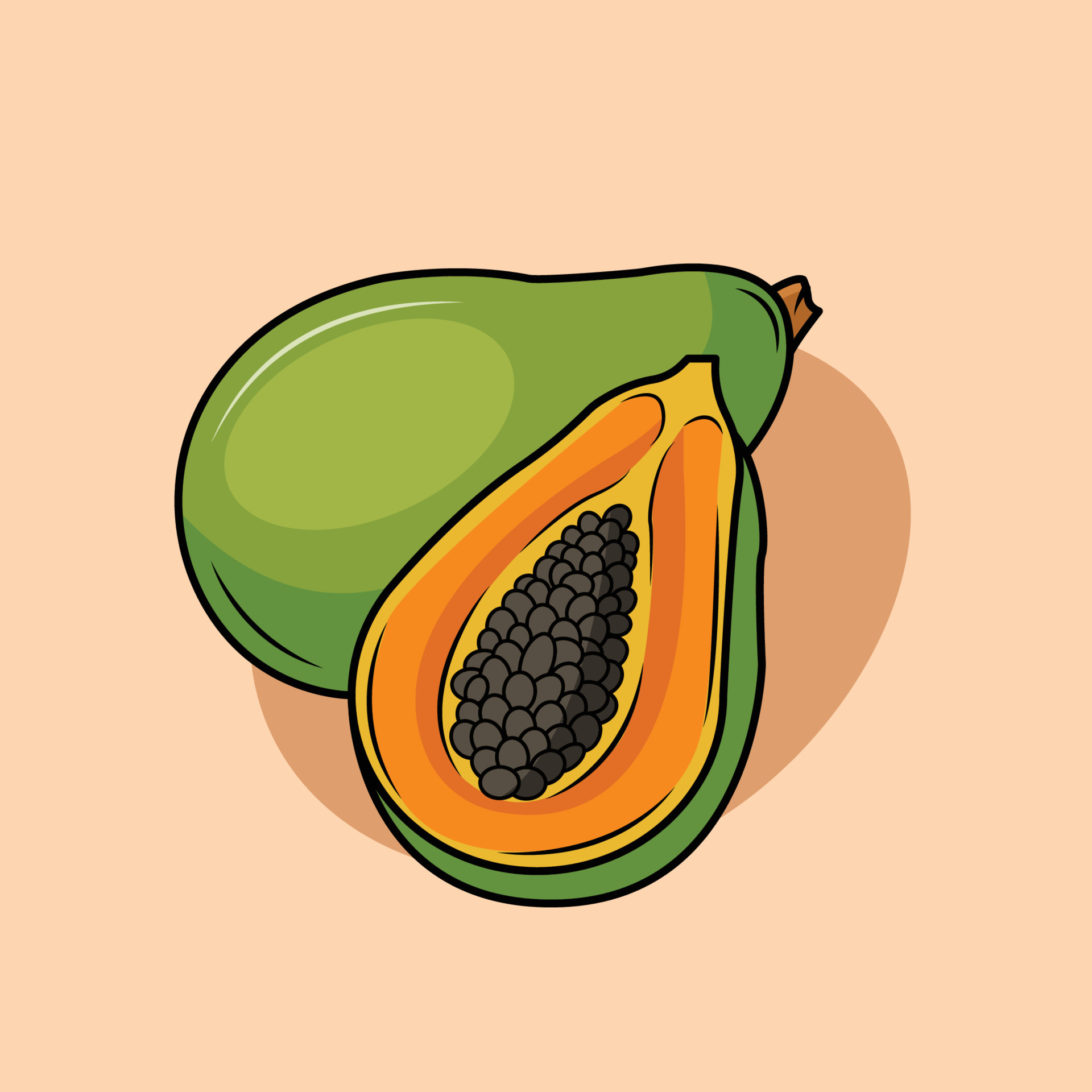 Illustration of a Papaya 11049189 Vector Art at Vecteezy